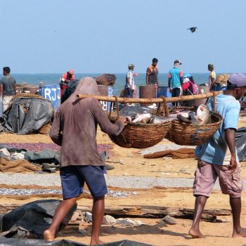De visvangst ligt te drogen in Negombo